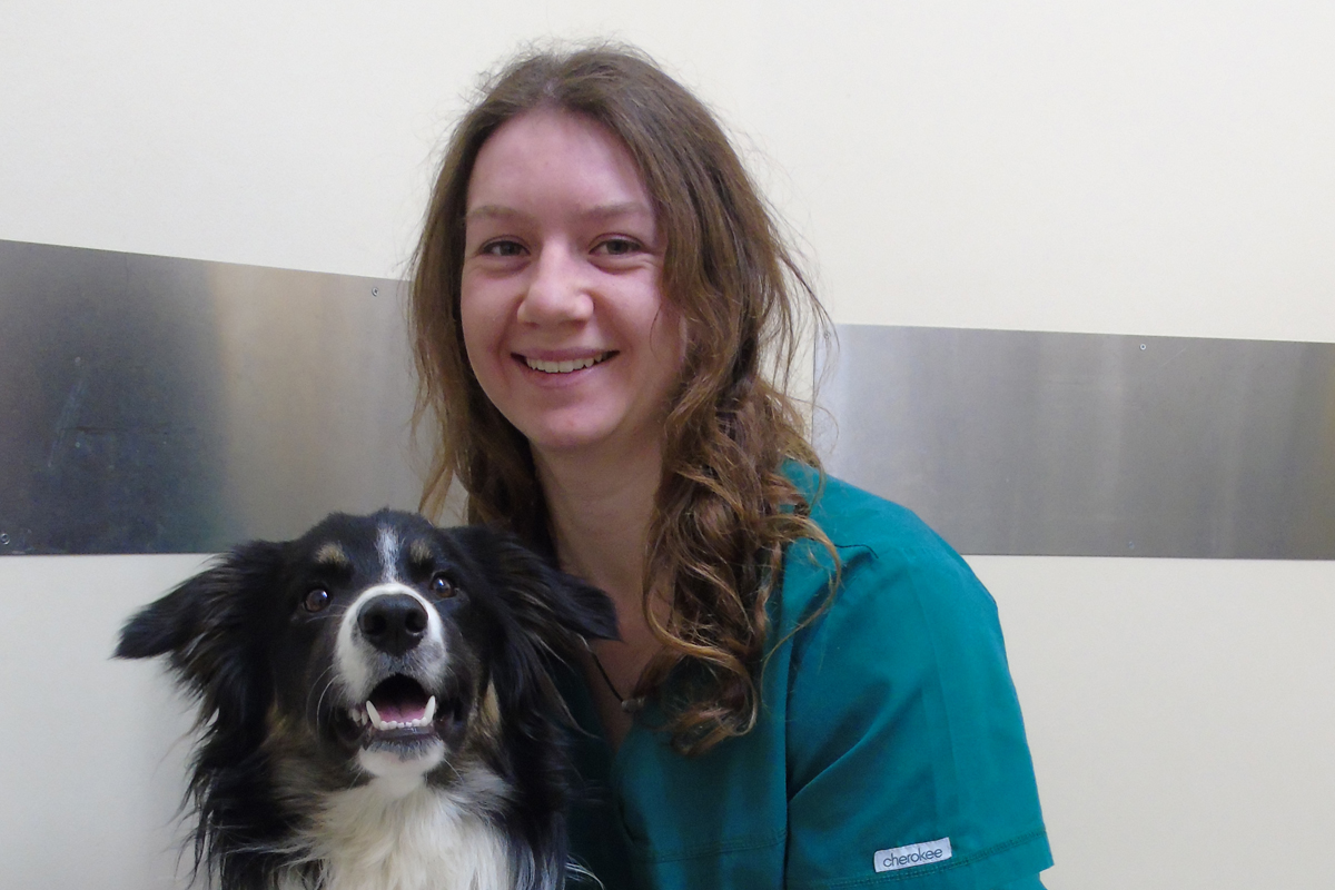 Meet Our Team of skilled Vets & Nurses | Milton Keynes Vets