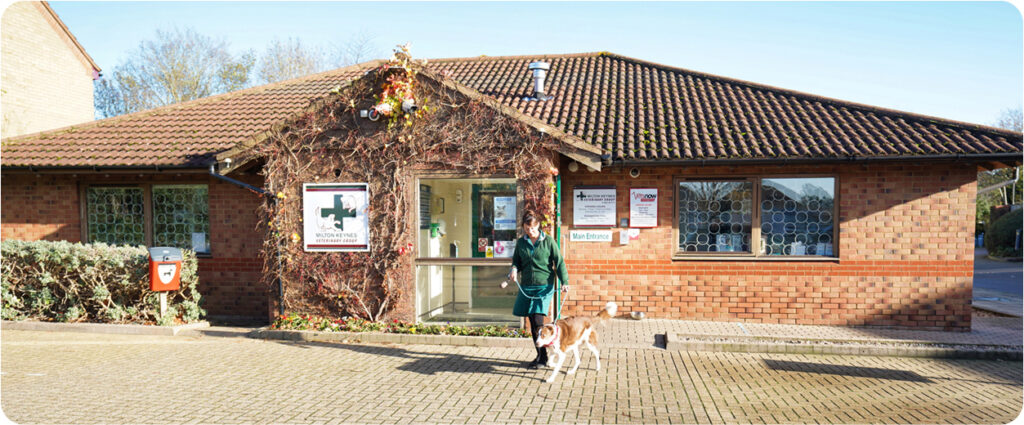 Walnut Tree Animal Hospital | Milton Keynes Vets