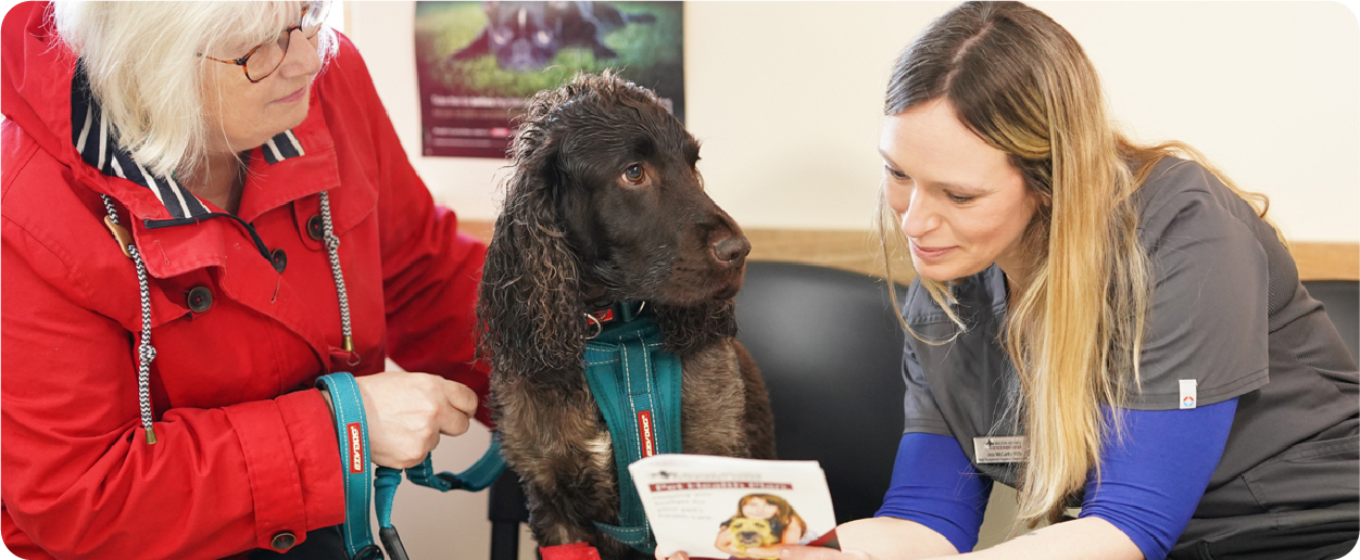 customer with vet nurse and dog reading leaflet