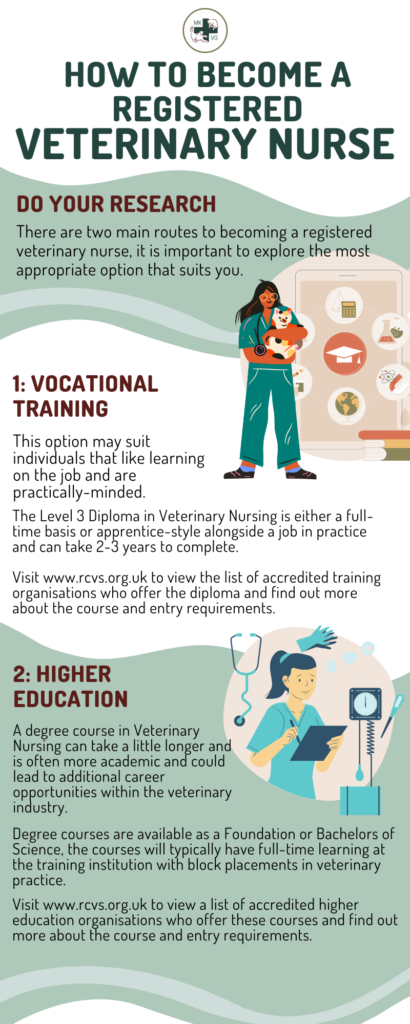 List of ways to become a registered vet nurse 