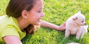 JUL-TOPICAL-new-puppy-kitten-summer-holidays.jpg