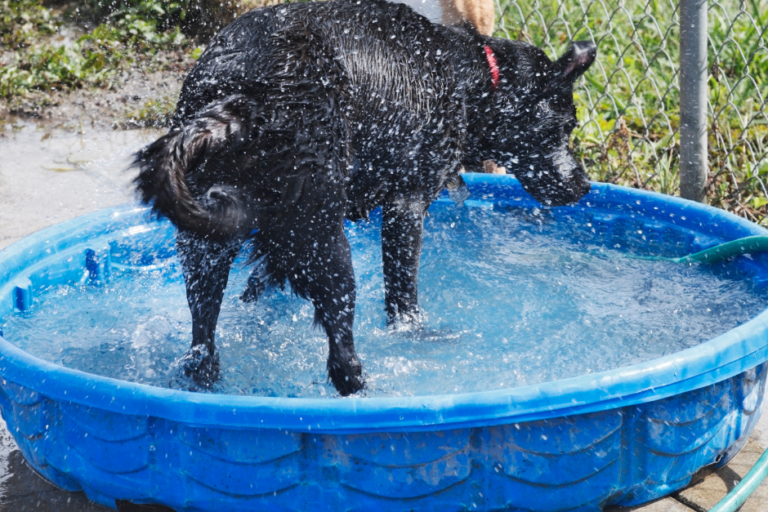 cooling aids