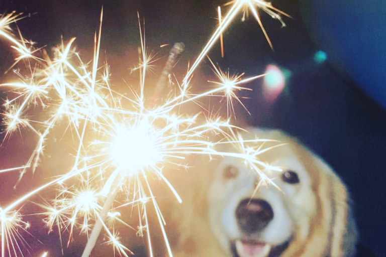 firework