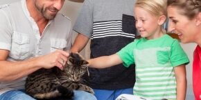 DEC-B-CAT-adopting-a-cat.jpg