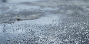 JAN-B-DOG-dangers-of-road-salt-dogs.jpg