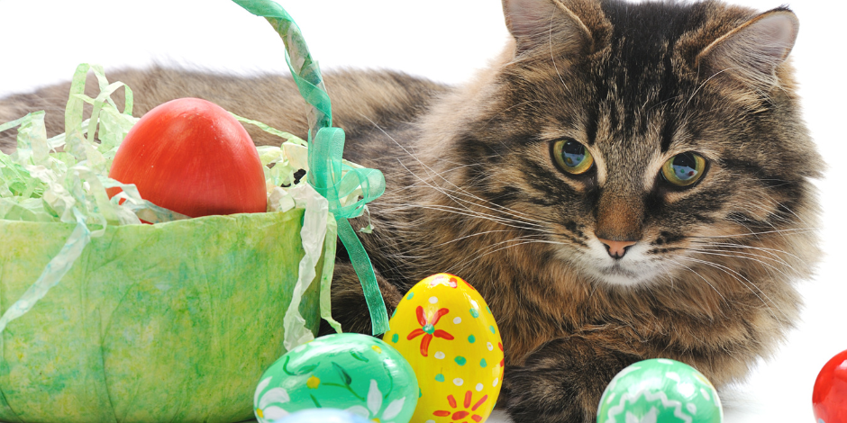 easter 2