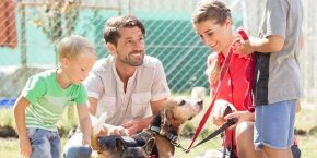 JUN-B-DOG-what-to-look-for-in-a-new-pet-ALL-PETS.jpg