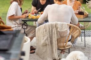 JUN-A-CAT-bbq-safety-tips-for-pets-cats-dogs.jpg