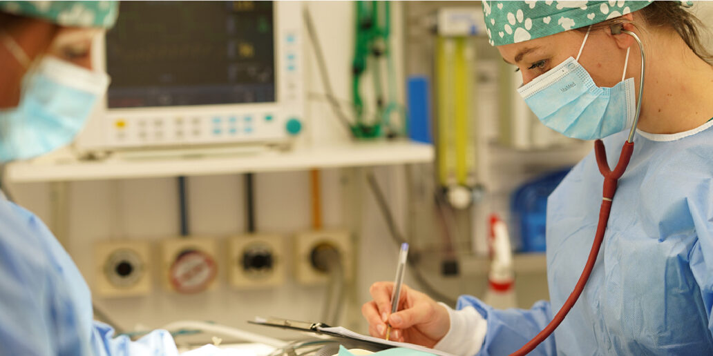 surgical-referral-milton-keynes-vets