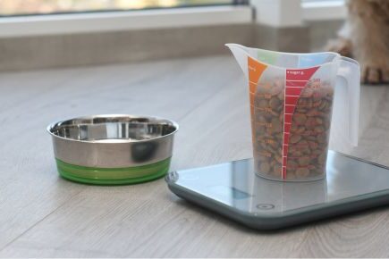 MKVG-Feb-2025 Dry dog food on weighing scales