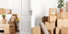 A cat walking between rooms containing piles of cardboard boxes