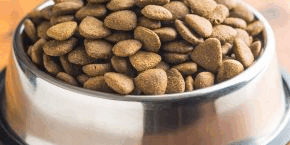 Metal bowl of pet food kibble