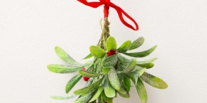 fjfntzhrpg9fzk9ckaif.png A sprig of mistletoe hanging by a red ribbon