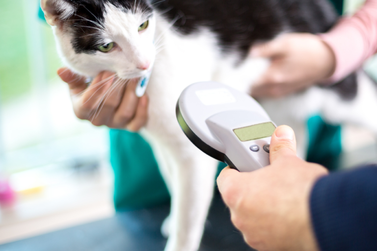 Copy of microchip