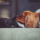 A dog and cat lying down next to each other